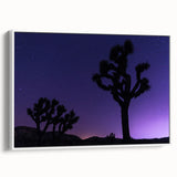 Vintage poster art of Joshua Tree with a vibrant color palette on a large framed canvas, ideal for living room decor.