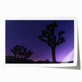 Joshua Tree landscape on rolled print, featuring muted earth tones, ideal for art wall dining room.