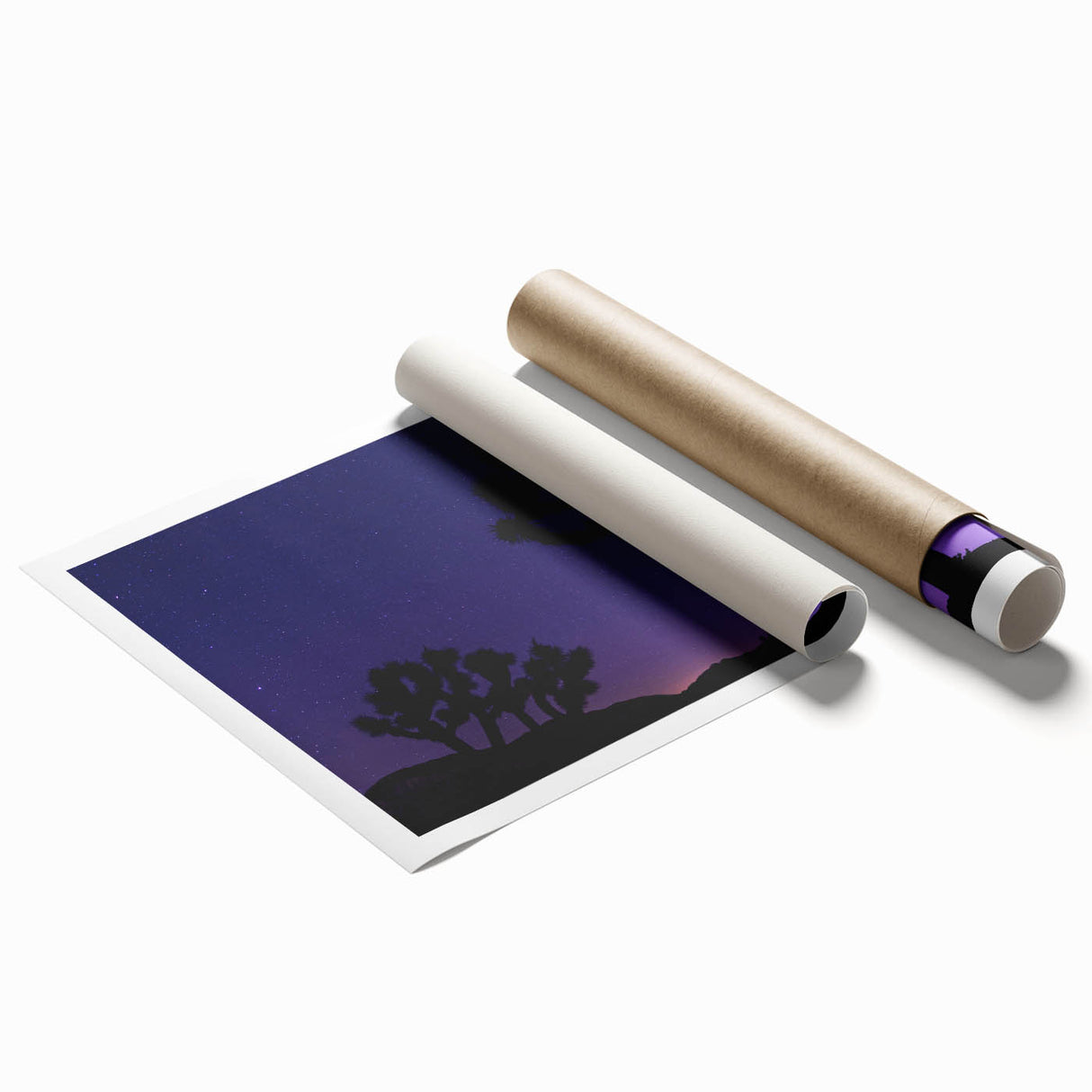 Extra large rolled print of Joshua Tree with muted earth tones, ideal for classy bathroom wall art.