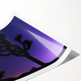 Extra large wall art featuring line art flowers and Joshua trees in muted earth tones on a rolled print.