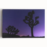Black and white photo of Joshua Tree on stretched canvas, suitable as large kitchen art.
