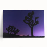 Black and white large art of Joshua Tree on stretched canvas, suitable as kitchen wall art or for bedroom ambiance.