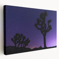 Large acrylic print of Joshua Tree scenery in muted earth tones, ideal for kitchen wall art.