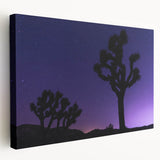 Large acrylic print of Joshua Tree scenery in muted earth tones, ideal for kitchen wall art.