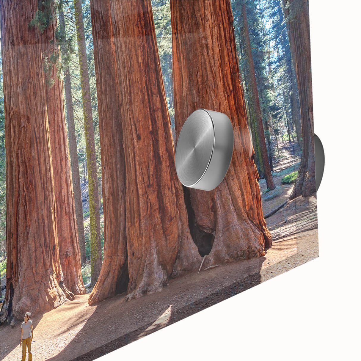 Mid-century modernist style large abstract wall art of California Sequoia trees in muted earth tones on acrylic glass.