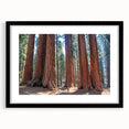 Extra large colorful art print of abstract California sequoia scenery in a black frame, ideal for living room decor.