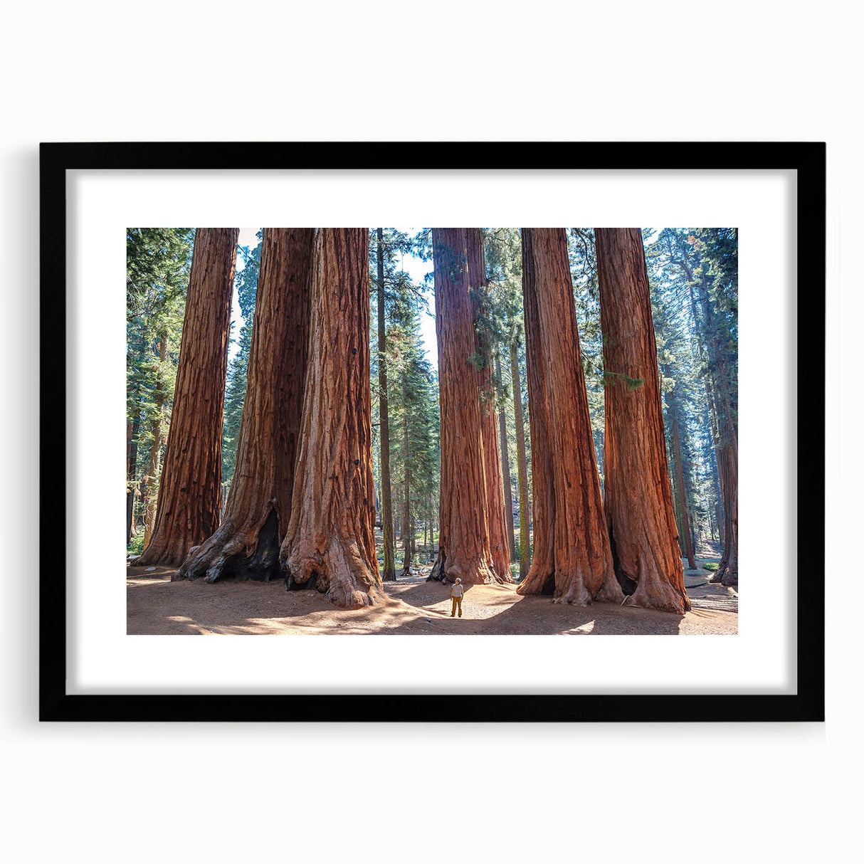 Extra large colorful art print of abstract California sequoia scenery in a black frame, ideal for living room decor.