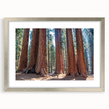 Textured art depicting abstract California sequoia trees in muted green and brown, framed in silver.