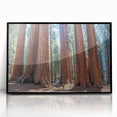Large abstract wall art depicting California's Sequoia trees in muted earth tones on a framed acrylic.