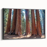 Black and white framed canvas of a vintage-style Sequoia landscape, suitable for bedroom wall decor.
