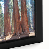 Black wall art featuring a close-up view of a Sequoia tree, using textured colors on a large framed canvas.