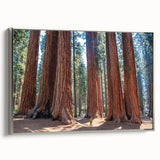 Framed canvas of a vintage-style landscape painting featuring California's Sequoia trees in muted green and brown tones.