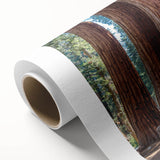 Art deco poster of California's Sequoia National Park in earth tones on rolled canvas, ideal for nursery wall art.