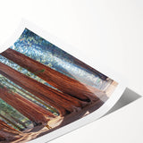 Extra large wall art of line art flowers on a rolled print, featuring a sequoia tree in black and white.