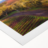 Art deco poster of Sonoma, California scenery on rolled canvas, featuring pastel colors, ideal for dining room wall art.