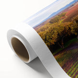 Art Deco style poster of Sonoma, California scenery on rolled canvas, ideal for nursery wall art or dining room.