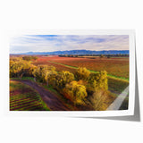Extra large rolled print of Sonoma, California scenery with vibrant green and floral elements.