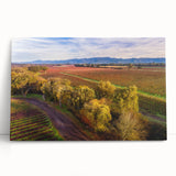Black and white stretched canvas of Sonoma landscape, ideal for kitchen wall art or bedroom decor.