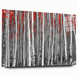Acrylic print of Aspen, Colorado scenery in autumn hues, ideal for dining room or bedroom decor.