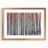 Extra large abstract art print depicting a textured Colorado Aspen scenery in a gold frame, ideal for living room decor.