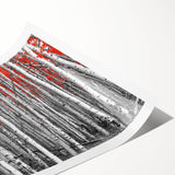 Extra large wall art featuring line art flowers in black on a white background, rolled print format.