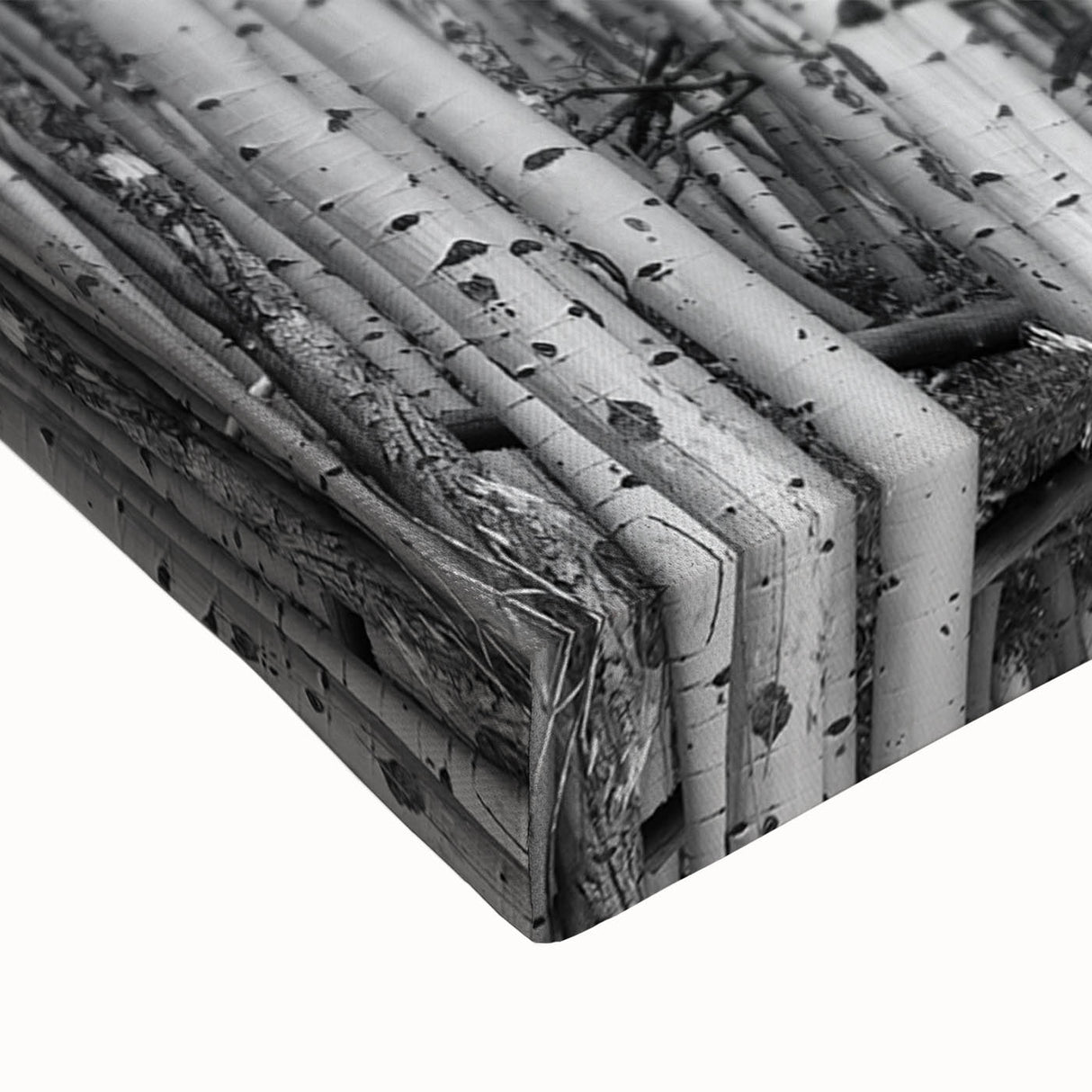 Large art of Aspen, Colorado landscape in black and white on stretched canvas, ideal for bedroom wall decor.