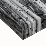 Large art of Aspen, Colorado landscape in black and white on stretched canvas, ideal for bedroom wall decor.