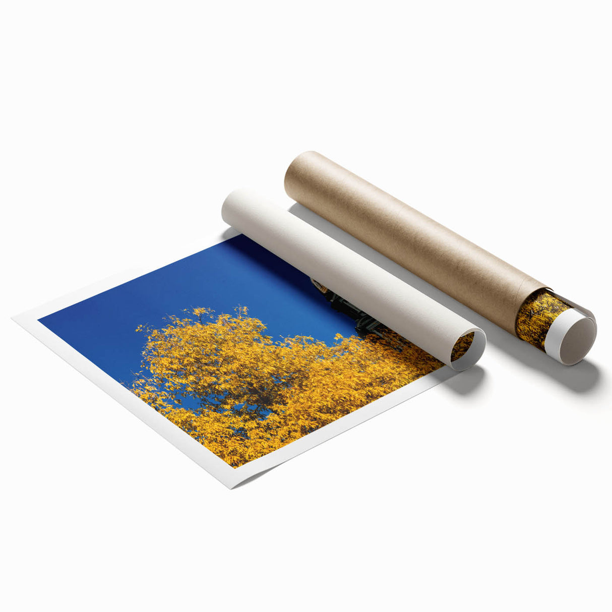 Extra large rolled print of Denver scenery with floral accents in soft pastel shades.