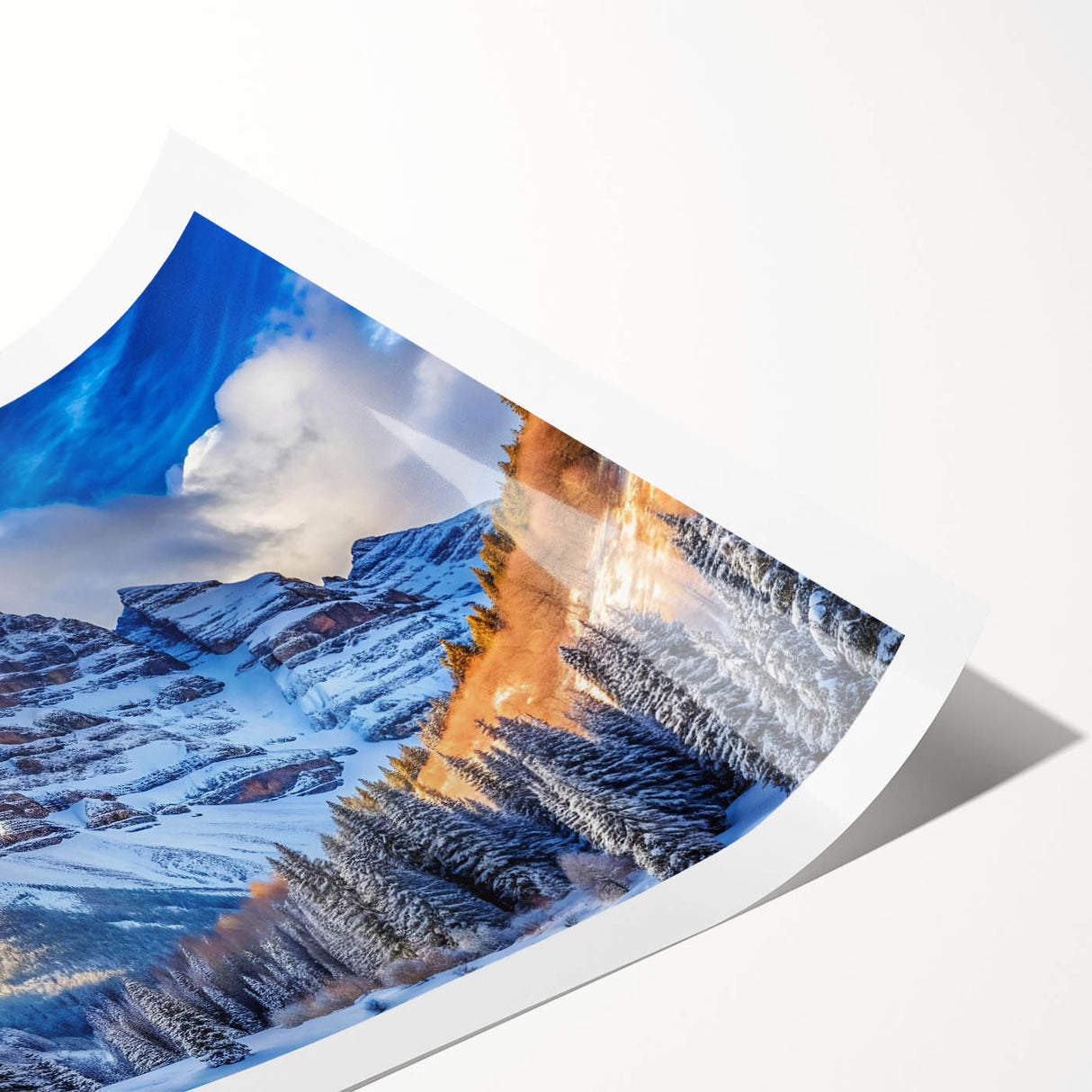 Extra large wall art featuring line art flowers, set against a backdrop of Maroon Bells, Colorado.