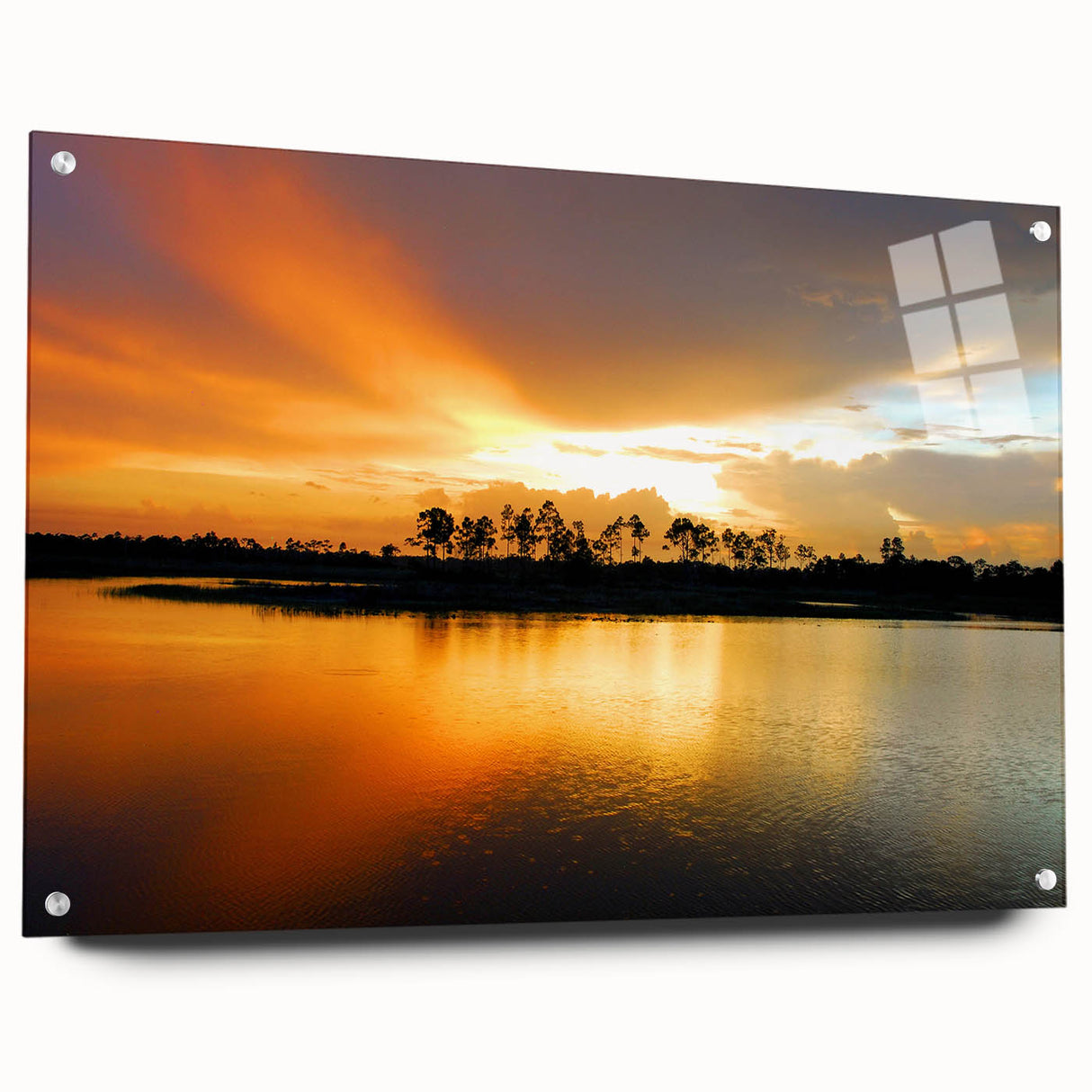 Everglades scenery on large acrylic glass, featuring vivid green and blue tones, ideal for bedroom or dining room decor.