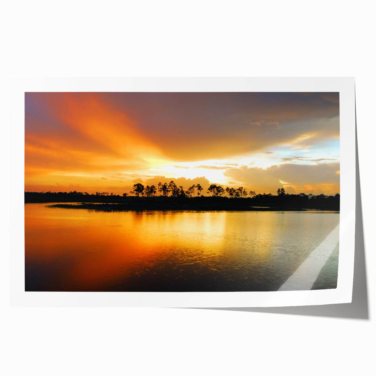 Rolled print of the Everglades with lush greenery and water, in muted earth tones, ideal for art wall dining room.