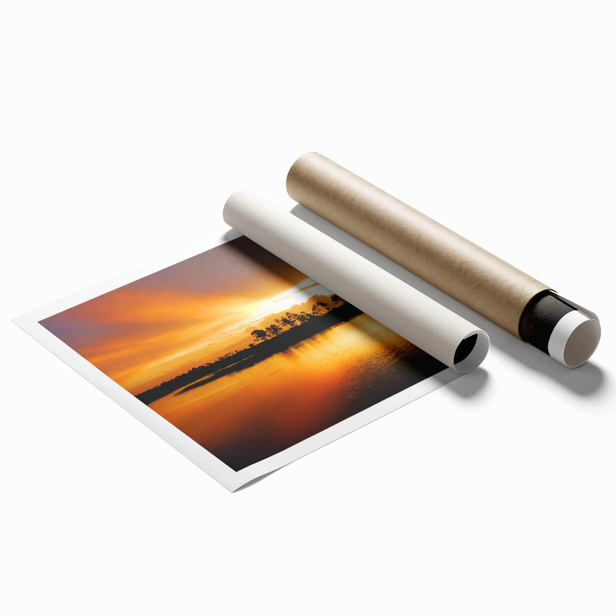 Extra large rolled print of the Everglades with vivid green tones, ideal for classy bathroom wall art.