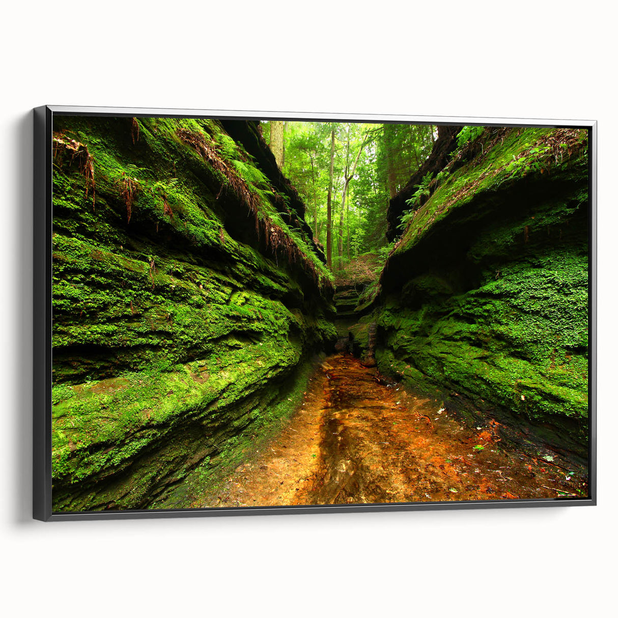 Black and white framed canvas of an Indiana landscape, featuring a vintage poster style, ideal for bedroom decor.