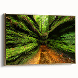 Framed canvas depicting a vintage-style Indiana landscape in black and gold tones, ideal for bedroom wall decor.