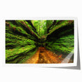 Extra large rolled print of Indiana scenery with lush floral elements, ideal for art wall dining room.