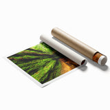 Extra large rolled print of Indiana scenery with floral elements in soft green and blue tones.