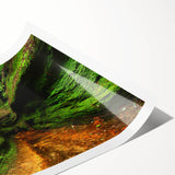 Extra large rolled print of line art flowers in black and white, ideal for large living room wall art.