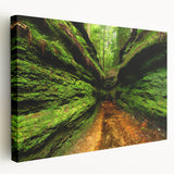 Large art depicting the Indiana landscape on stretched canvas, featuring muted earth tones, ideal for kitchen wall decor.