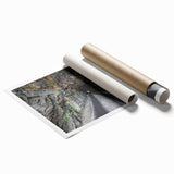 Extra large rolled print of a Kentucky landscape with vibrant greenery and floral elements.