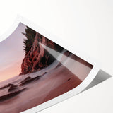 Extra large wall art featuring line art flowers in soft gray tones on a rolled canvas, ideal for large living room decor.