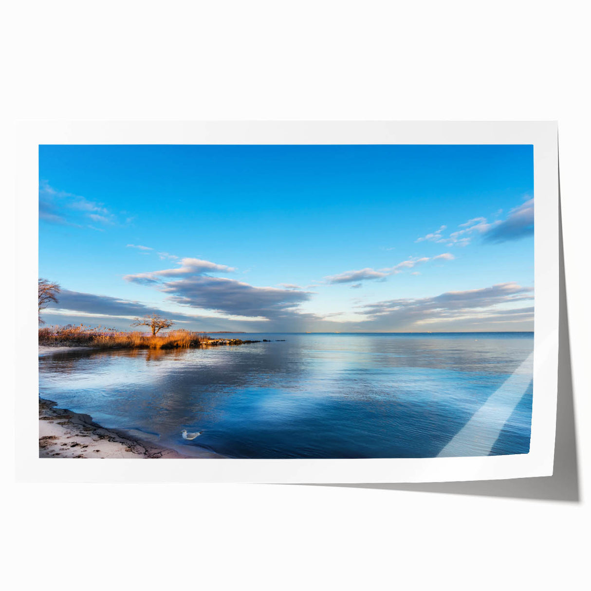 Extra large rolled print of Chesapeake Bay with vibrant twilight hues, ideal for art wall dining room.