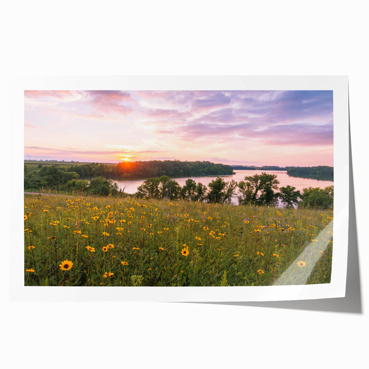 Extra large rolled canvas print of Minnesota scenery featuring vibrant green and blue tones, ideal for dining room wall art.