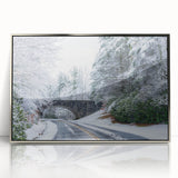 Mid-century modernist art depicting the Blue Ridge Mountains in muted blue and green tones on a silver-framed acrylic print.