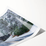 Extra large wall art featuring line art flowers in muted earth tones on a rolled print, suitable for large living room decor.