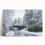 Black and white stretched canvas of the Blue Ridge Mountains, ideal for kitchen wall art.