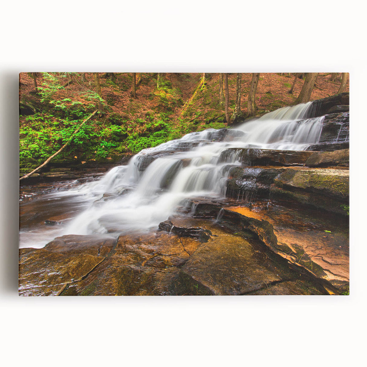 Black and white scenic photograph of the Adirondacks on stretched canvas, suitable as large kitchen art.