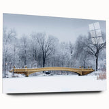 Acrylic print of Central Park with autumn hues, ideal for bedroom or dining room art.