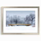 Textured art print of Central Park in abstract style, featuring muted green and brown tones on a framed silver mat.