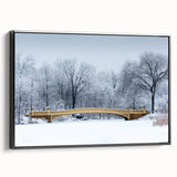 Black and white framed canvas of Central Park landscape, ideal for bedroom wall decor.