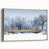 Framed canvas of Central Park landscape in autumn with gold frame, featuring muted earth tones, ideal for bedroom wall art.